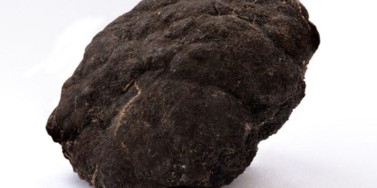 Seabed Mining Heats Up as Lockheed Martin Courts Interest in Pacific Licenses