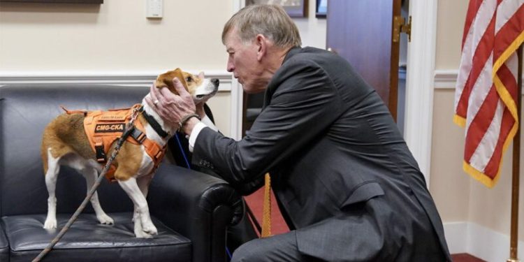 GOP targets transgender animal testing in defund demand to NIH